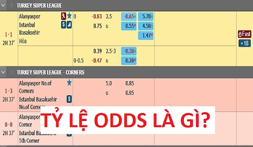 ODDS trong bóng đá là gì