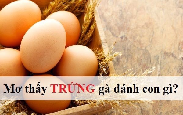 mơ thấy trứng