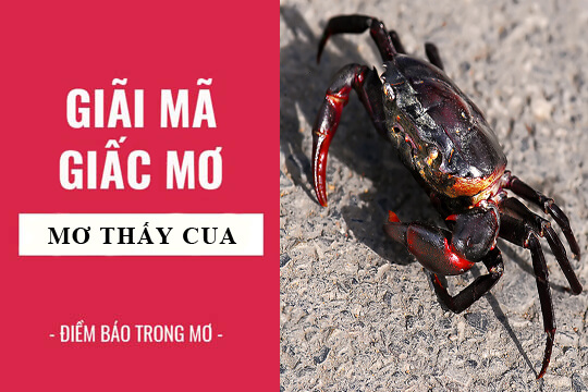 nằm mơ thấy cua